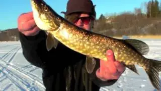 Baitbox - Angling 2 april rännösjön