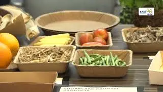 How Green Stem contributes to the circular economy -  Kenya LOOP Forum