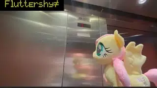 Elinor and Friends Unboxing MLP Fluttershy Plush & Mount Sinai Doctors! Scarsdale NY Episode 2683