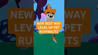 NEW BEST way to level up your pet in RUFFNAUTS!