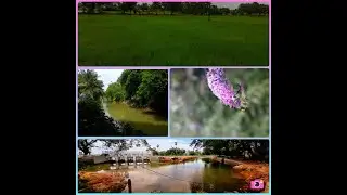Global Earth warming