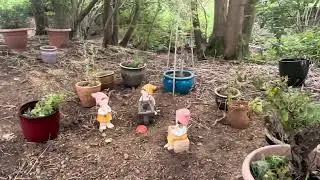 Limerick Acres CS