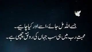 Best Islamic  Advice for Life | Life Changing Quotes Urdu | Golden Words About Life