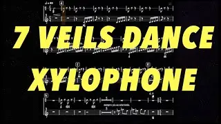 R. Strauss - Dance of the 7 Veils - Salom&eacute; - Xylophone Excerpt Playalong