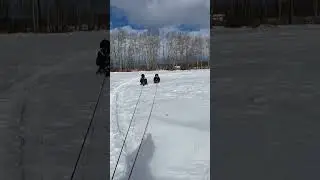Winter Fun!!! #kids #snow #sledding #shorts #shortsvideo #goodtimes #fun