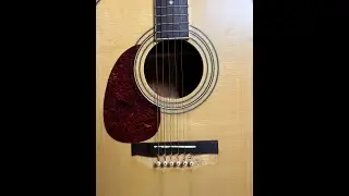 I found this broken guitar in the trash and fixed it.