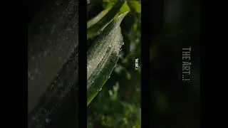 Artist × Art | Before and after effect |🔥 Capcut video Editing #shorts #capricorn