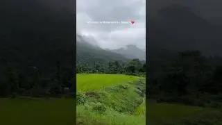 Monsoon #nature #relax #calm #maharashtra #rainyday #rainyseason #weather #cozy
