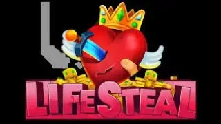 Ich werde gebannt auf dem Lifesteal Server