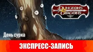 Dungeons & Dragons. Эпизоды 10-11. День сурка. [Экспресс-запись]