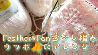 【ウツボソックス!】羽と扇という透かし編み入れてみました!23,5cm