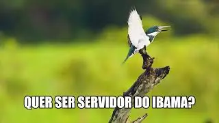 Prepare-se agora para o concurso do IBAMA. Acesse www.sobremeioambiente.com.br