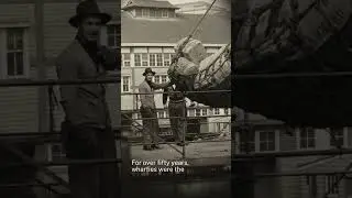 The Working Wharf - Walsh Bay Arts Precinct