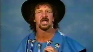 Terry Funk - More Than Just Hardcore