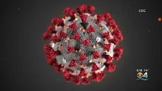 Health Officials Confirm 1st Case Of Human-To-Human Transmission Of Coronavirus In U.S.