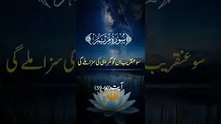 quranrecitationvideos #fypシ゚viral #duet #grow #bayan #growvideo #love #quranrecitation #recitation