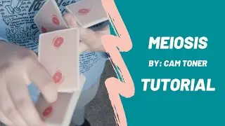 Meiosis by Cam Toner (Cardistry Tutorial)