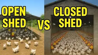 2025 में कौन सा Poultry Shed सही है? 🐥 Open Vs Closed Shed का सच!