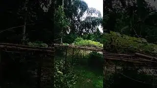 👍🙏My village#dimpusvlog