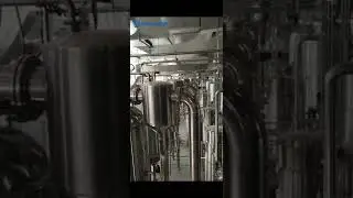 Automatic CE and ASME Standard Ossein Extraction Machine Production Line