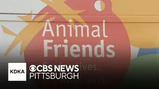 Animal Friends says more families need help feeding their animals