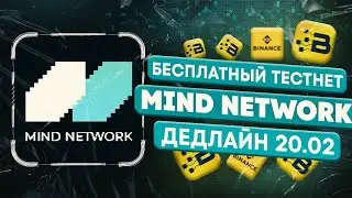 Бесплатный тестнет Mind Network. Ожидаем дроп