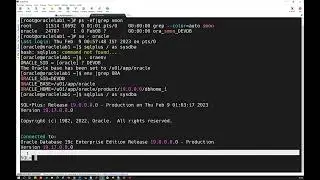.bash_profile for Oracle?