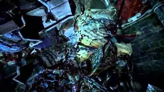 Castlevania Lords of Shadow 2 - Bernhard's Wing void sword run Walkthrough