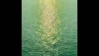 상진 - 여름의 잔상 (The Afterimage Of Summer)