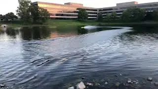 RC Boat Racing Fast Zelos 36 vs Miss Geico 36 Top Speed Test