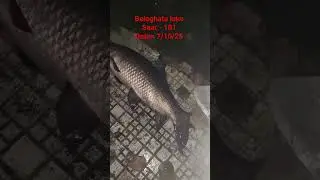 beleghata lake seat 101