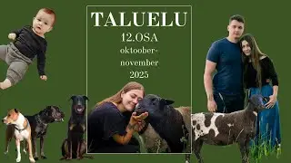 Vlog 12 - paaritus ja oleme haiged