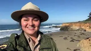 Explore a Northern Elephant Seal Rookery at Hearst San Simeon State Park!
