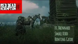 RDR2 Ft. Brennard Small Bird Guide