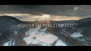 Winter im Pfälzerwald (Cine 4k)