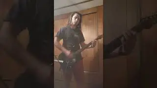 Tool ticks and leeches, guitar cover Hard Rock Nation.