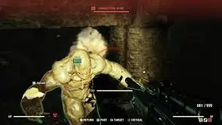 Fallout 76 The Burrows Walkthrough