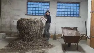 Codzienne Obowiązki 2020 :)))