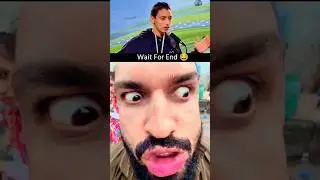 #halo