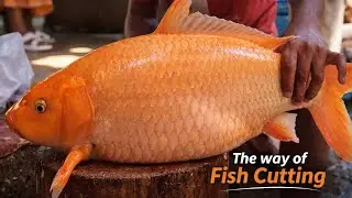 6 Pound Beautiful Red Carp 😱 | Never Seen Before Fish Cutting Skills