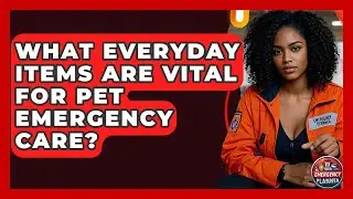 What Everyday Items Are Vital For Pet Emergency Care? - Your Emergency Planner