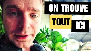 J&rsquo;ACH&Egrave;TE DES ST&Eacute;RO&Iuml;DES