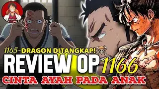 HAH?! DRAGON DITANGKAP!! HARALD SIAP JADI BUDAK WG! REVIEW OP 1166