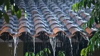 Rain Sounds & Thunder Sounds for Deep Sleep | Relaxing Rain at Night