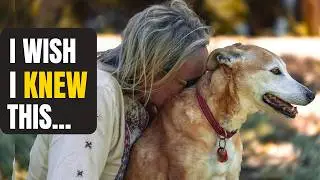 Pet Grief Support - What I Wish Someone Told Me Sooner