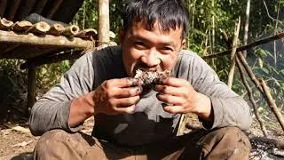 Amazon Jungle Survival Test | 48 Hours With No Food or Shelter