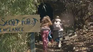 Kelburn Secret Forest
