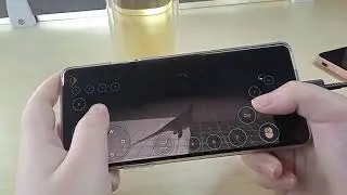 The Isle played on phone with Netboom