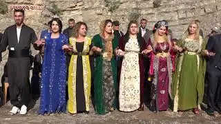 Fehmi ERGÜN TASDELEN
