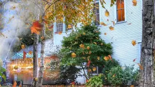 Autumn Fall Day at a Cozy Small Town Farmers-Market ASMR Ambience